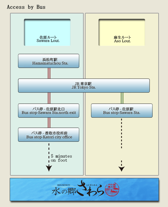 Access by Bus